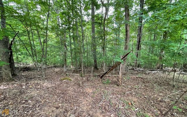 LOT 3 Morgan Creek Ph Ii, Young Harris, GA 30582