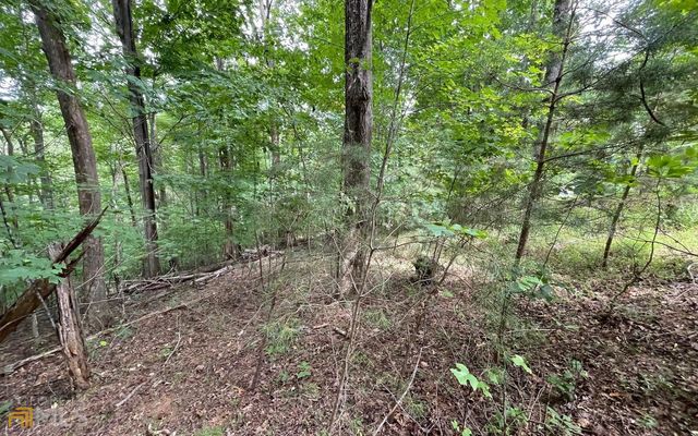 LOT 3 Morgan Creek Ph Ii, Young Harris, GA 30582