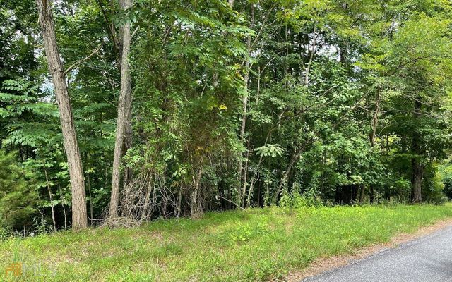 LOT 3 Morgan Creek Ph Ii, Young Harris, GA 30582