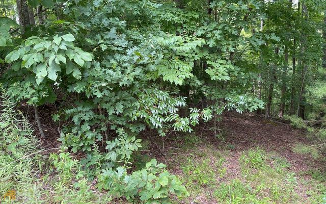 LOT 3 Morgan Creek Ph Ii, Young Harris, GA 30582