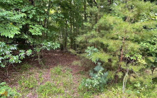 LOT 3 Morgan Creek Ph Ii, Young Harris, GA 30582