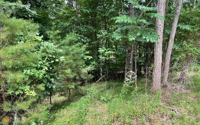 LOT 3 Morgan Creek Ph Ii, Young Harris, GA 30582