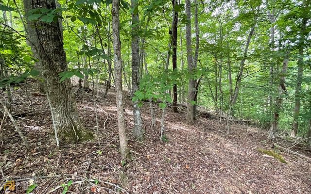 LOT 3 Morgan Creek Ph Ii, Young Harris, GA 30582