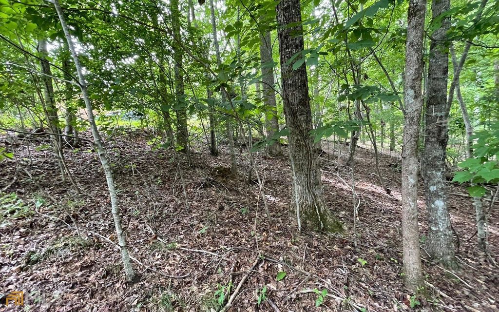 LOT 3 Morgan Creek Ph Ii, Young Harris, GA 30582