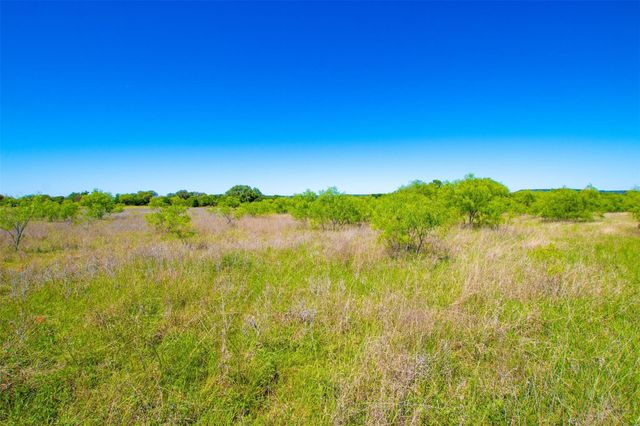 Lot 101 New Hope Road, Palo Pinto, TX 76484