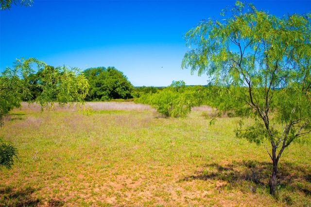 Lot 101 New Hope Road, Palo Pinto, TX 76484