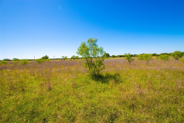Lot 101 New Hope Road, Palo Pinto, TX 76484