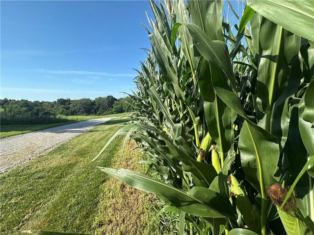 9226 427 Road, Savannah, MO 64485