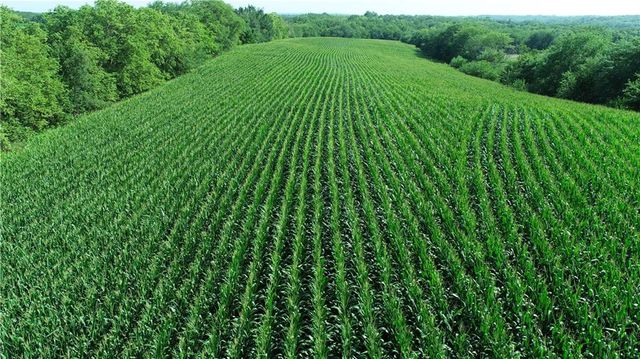 9226 427 Road, Savannah, MO 64485