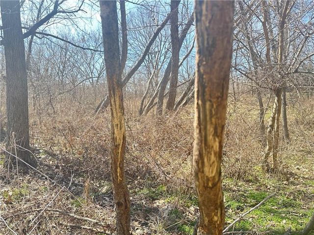 9226 427 Road, Savannah, MO 64485