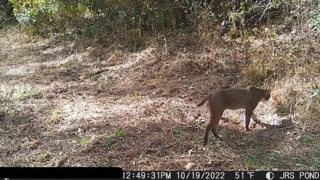 9226 427 Road, Savannah, MO 64485