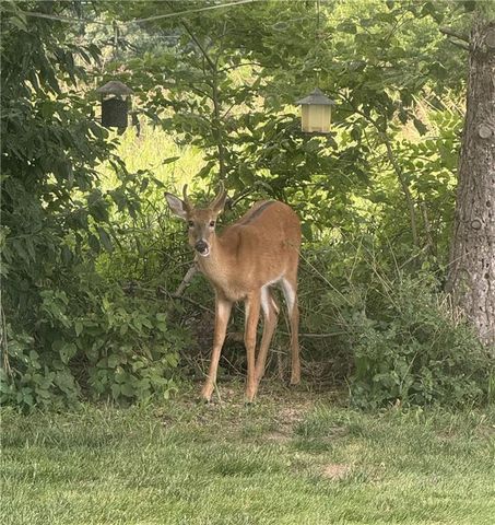 9226 427 Road, Savannah, MO 64485