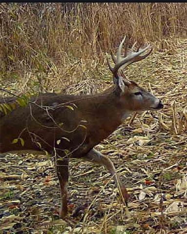 9226 427 Road, Savannah, MO 64485