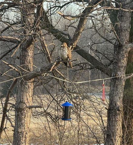 9226 427 Road, Savannah, MO 64485