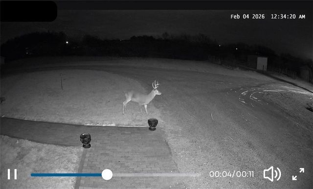 9226 427 Road, Savannah, MO 64485