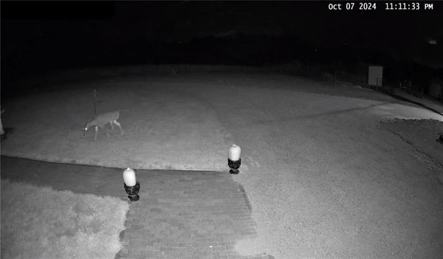 9226 427 Road, Savannah, MO 64485