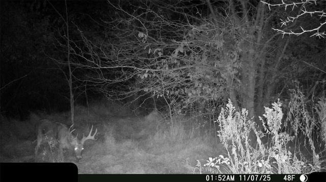 9226 427 Road, Savannah, MO 64485