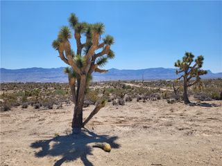 1221 W Calico Drive Unit 4/Lot 1511, Meadview, AZ 86444