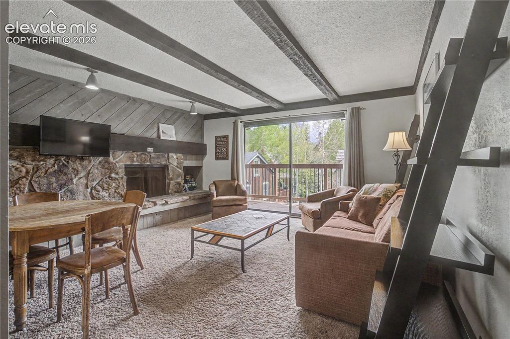 107 Harris Street 209, Breckenridge, CO 80424 — photo 3