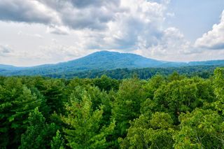 21 Ac Bear Hollow Drive, Mineral Bluff, GA 30559