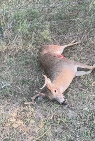 13532 Highway 36, Comanche, TX 76442