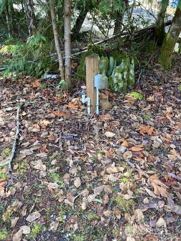 100 N Dow Mountain Drive, Hoodsport, WA 98548