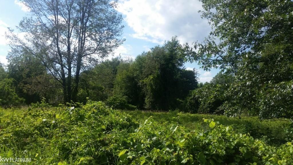 0 Victoria Court, Oxford, MI 48371