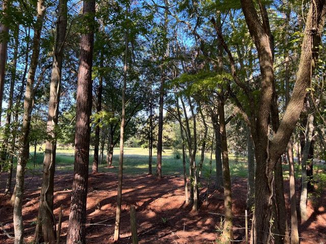 2226 County Road 57, Rosharon, TX 77583