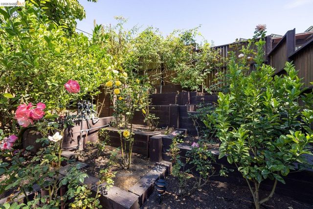 46 Senior Avenue, Berkeley, CA 94708