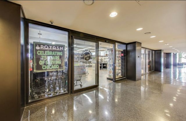 175 E Delaware Place 5819, Chicago, IL 60611