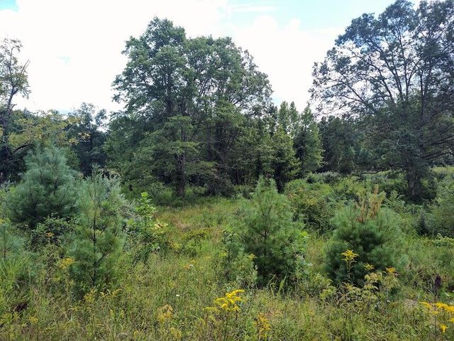 1150 Logan Hollow Road, Morehead, KY 40351