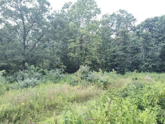 1150 Logan Hollow Road, Morehead, KY 40351