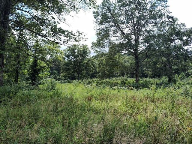 1150 Logan Hollow Road, Morehead, KY 40351