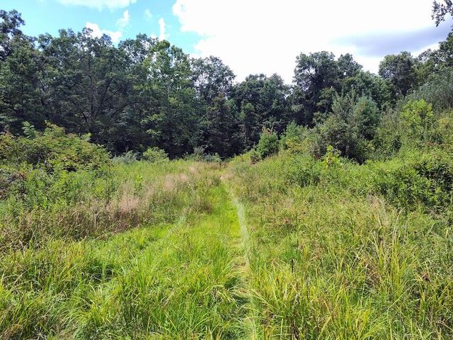 1150 Logan Hollow Road, Morehead, KY 40351