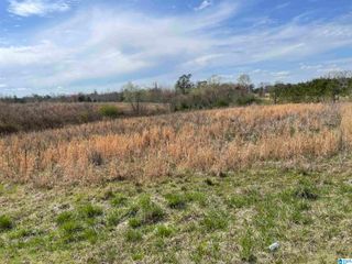 00 COUNTY ROAD 83, Clanton, AL 35045