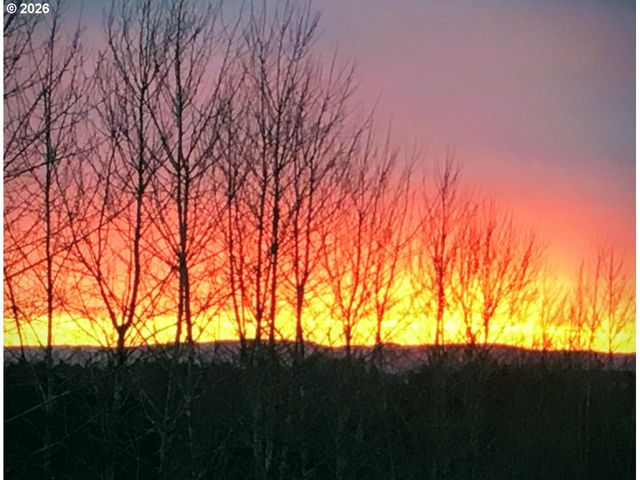 2300 E 6TH St, La Center, WA 98629