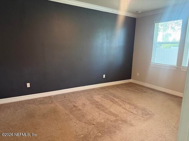 12351 CLAPBOARD BLUFF Trail, Jacksonville, FL 32226