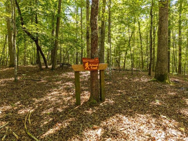 46 Gooseberry Trail, Blue Ridge, GA 30513