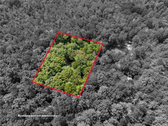 46 Gooseberry Trail, Blue Ridge, GA 30513