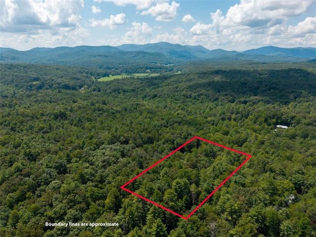 46 Gooseberry Trail, Blue Ridge, GA 30513