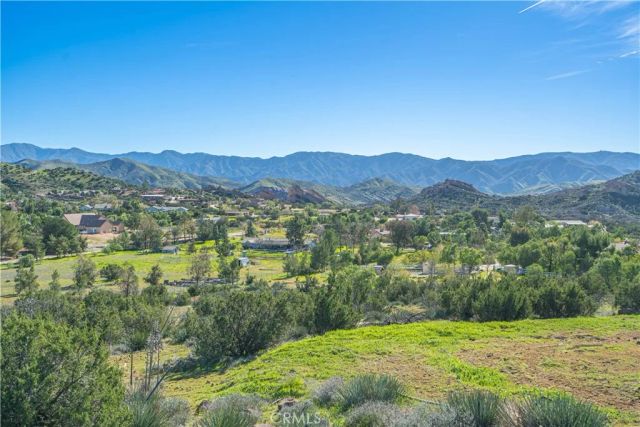 10540 Darling Road, Agua Dulce, CA 91390