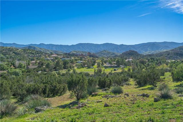 10540 Darling Road, Agua Dulce, CA 91390