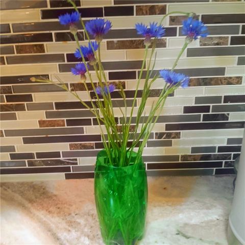 337 Monti Drive, Anderson, SC 29625