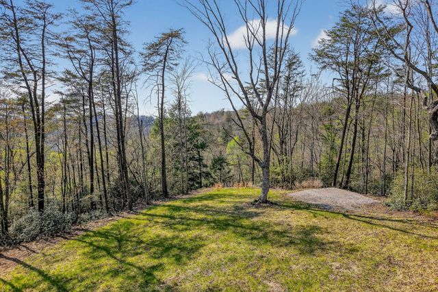 31 Reeves Pl, Monterey, TN 38574