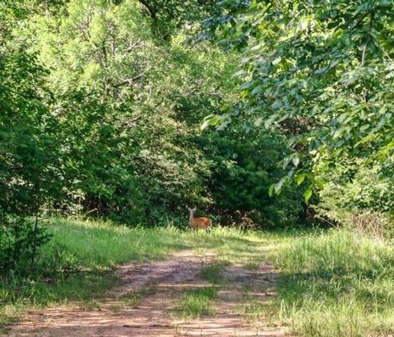 3893 FM 906, Powderly, TX 75473