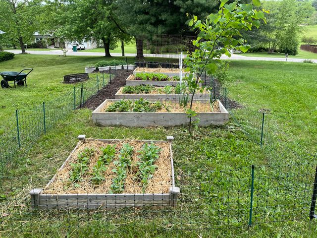 1014 Sassafras Street, Willow Springs, MO 65793