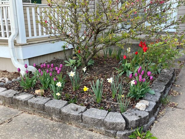 1014 Sassafras Street, Willow Springs, MO 65793