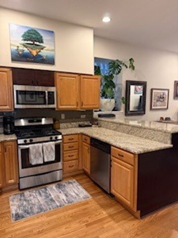 1255 N Honore Street 1, Chicago, IL 60622