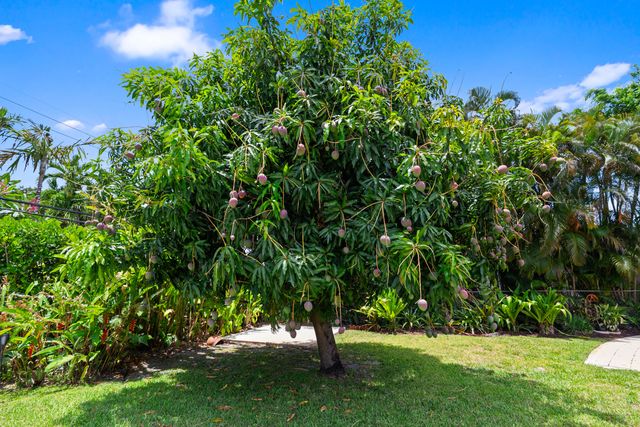 1705 NE 26th Avenue, Fort Lauderdale, FL 33305