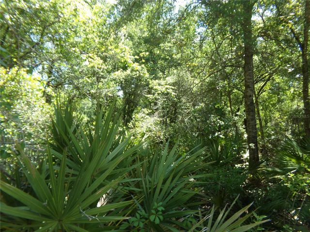 KNOXVILLE DRIVE, Webster, FL 33597